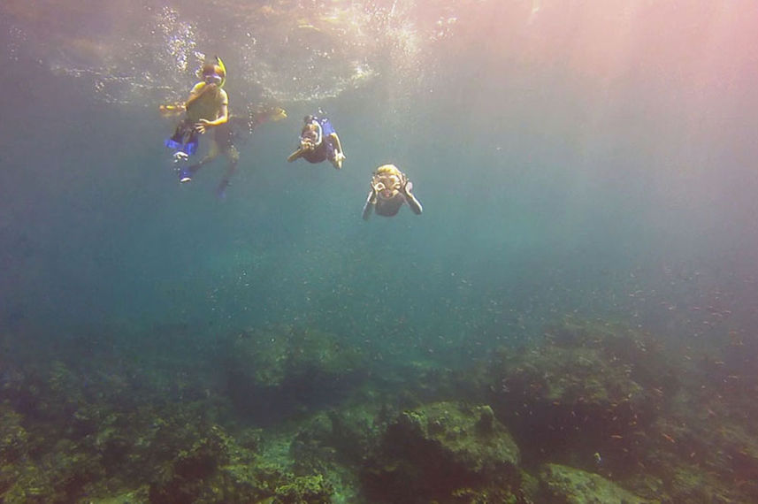 Snorkeling in Thailand