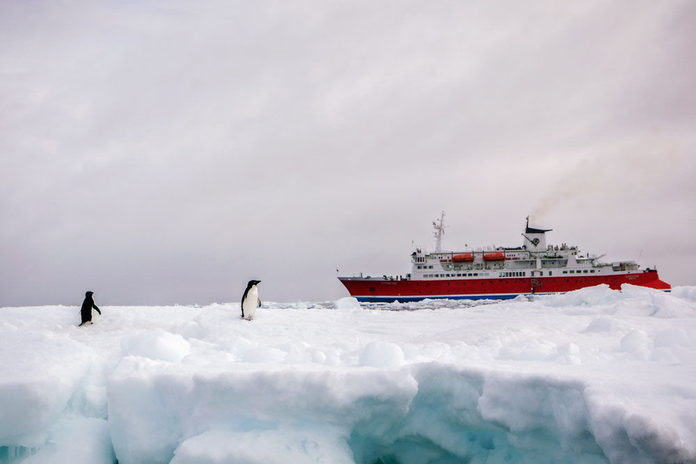 Up close with Penguins in Antarctica