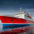 Expedition Antarctica