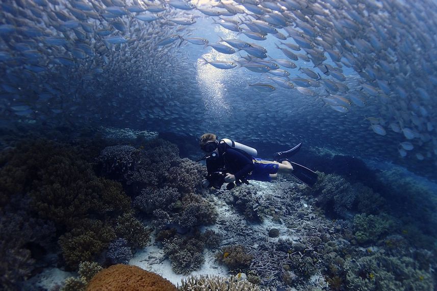 Spectacular diving in Raja Ampat