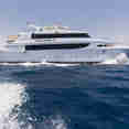 Golden Dolphin III