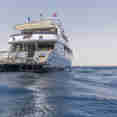 Golden Dolphin III
