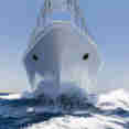 Golden Dolphin III