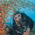 #diving