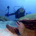 #diving