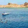 Dive Tender