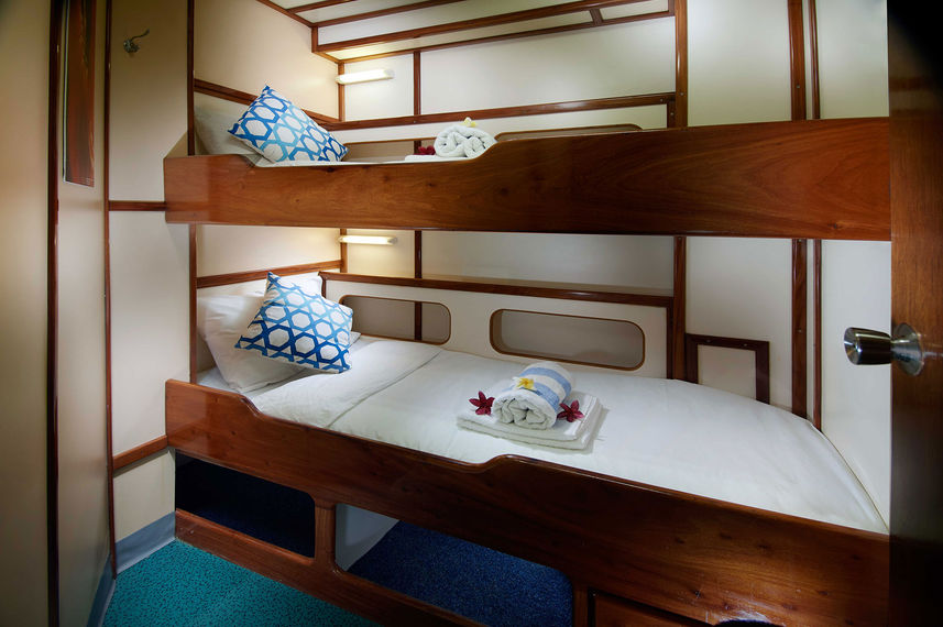 Twin Cabin - Solomons PNG Master