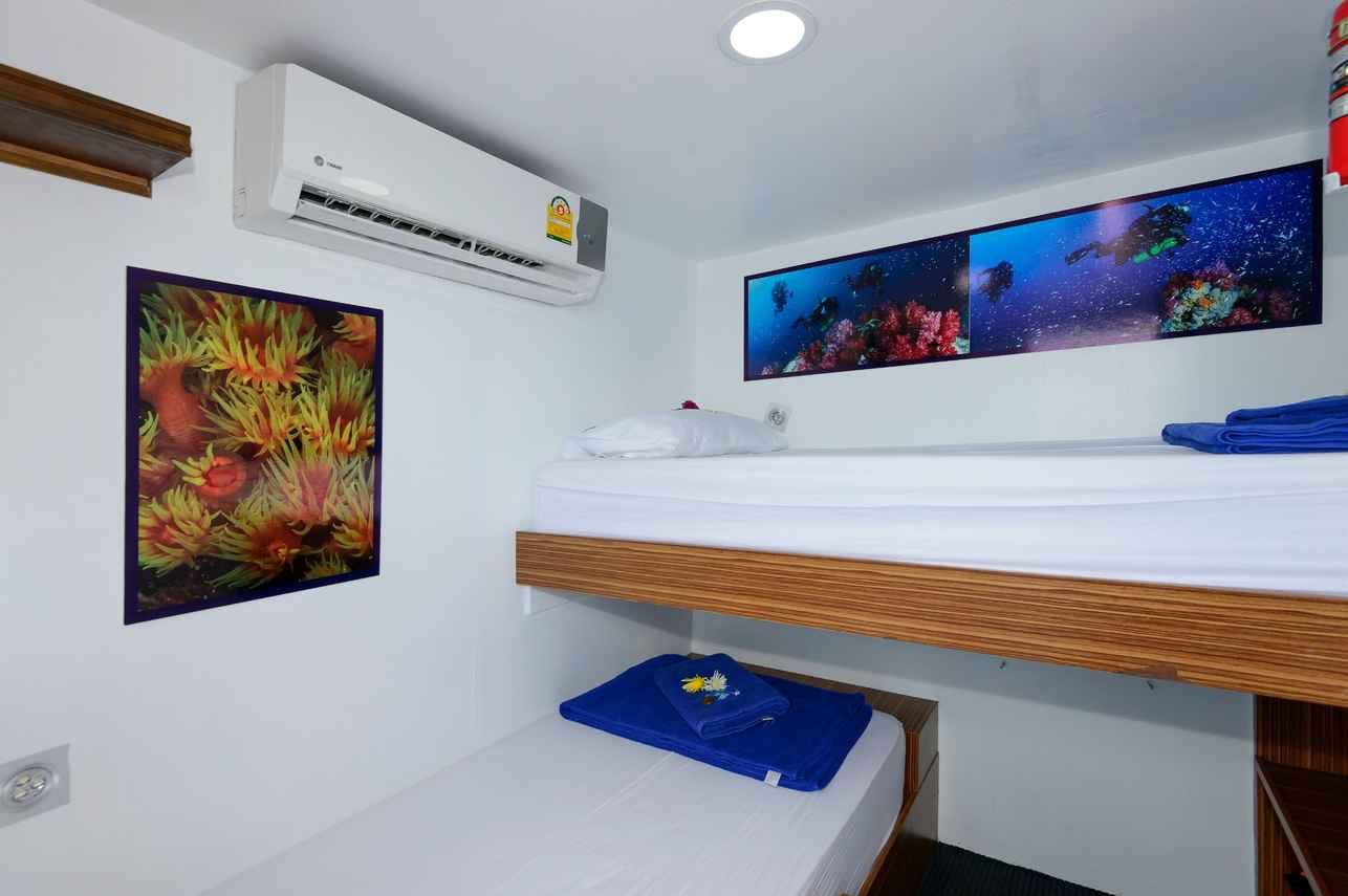 Comfort Twin Cabin