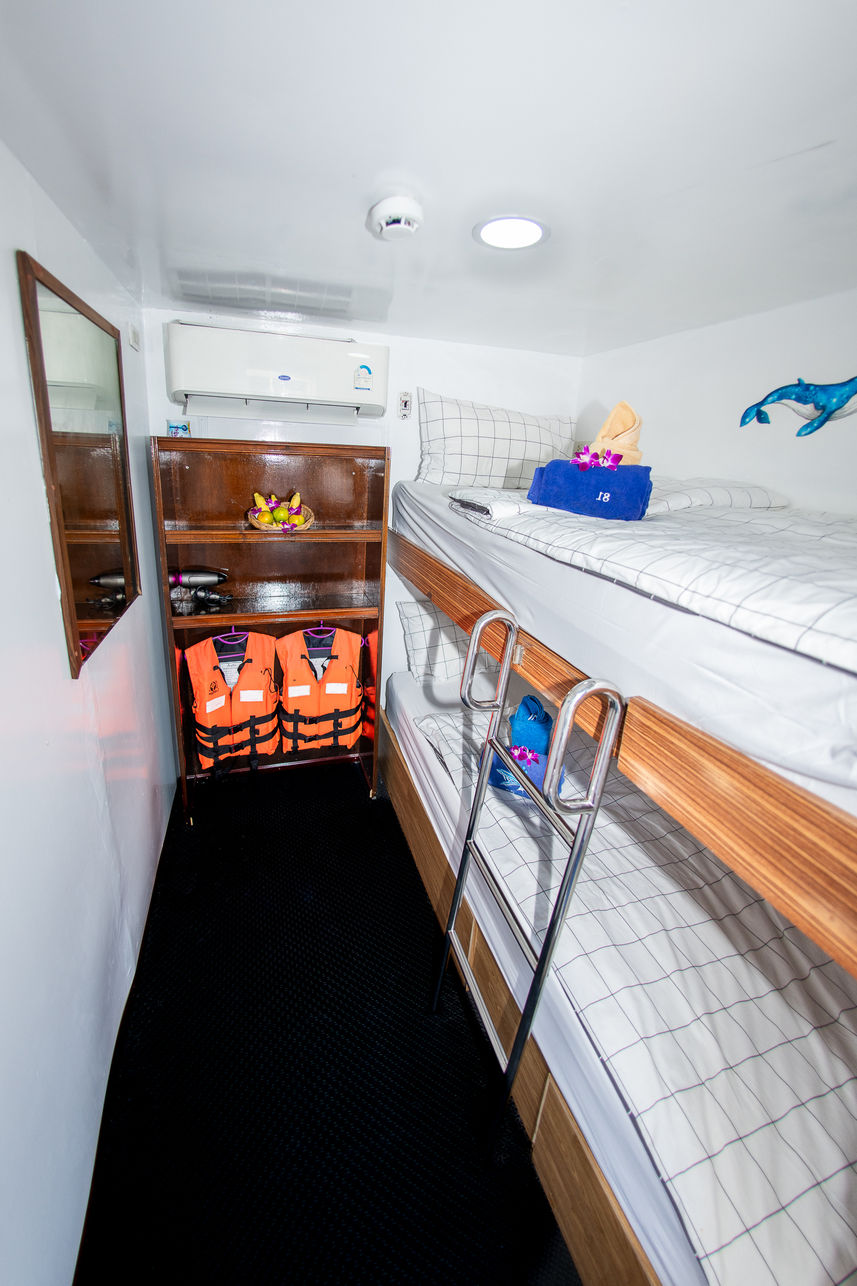 Standard Bunk Cabin