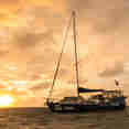 Coral Sea Dreaming