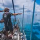 Cubierta de buceo - Coral Sea Dreaming