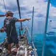 Dive deck - Coral Sea Dreaming