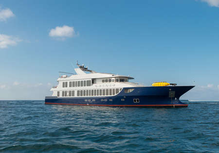 Origin Theory and Evolve 