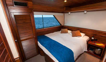 Dolphin deck Cabins