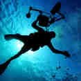 #diving
