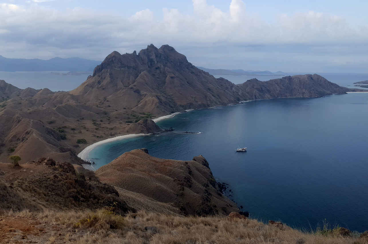 Tidak ApaPa