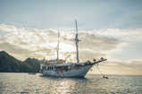 Cajoma IV