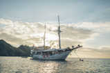 Cajoma IV