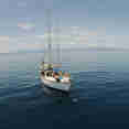 Rum Runner
