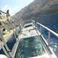 Plataforma de Mergulho - America's Shark Boat MV Horizon