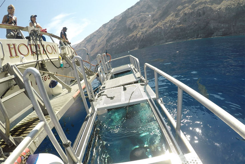 Dive Platform - America's Shark Boat MV Horizon