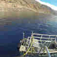 #diveplatform  - America's Shark Boat MV Horizon