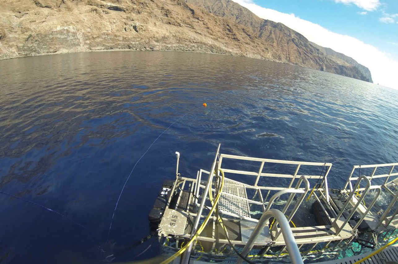 #diveplatform  - America's Shark Boat MV Horizon