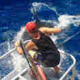 Plataforma de Mergulho - America's Shark Boat MV Horizon