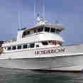 America's Shark Boat MV Horizon