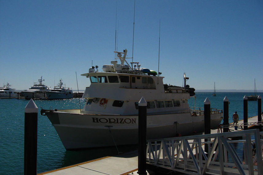 America's Shark Boat MV Horizon