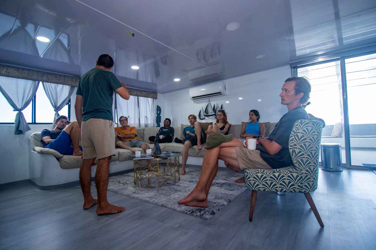 #Indoorsaloon - Anahi