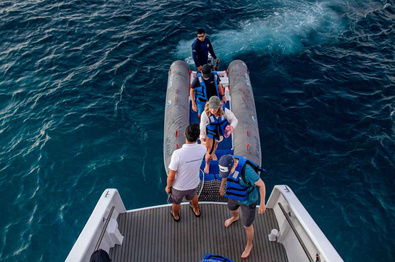 Dive Platform - Anahi