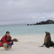 Sealions - Anahi