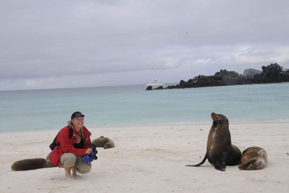 Lions de mer  - Anahi