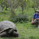 Reuzenschildpad - Anahi