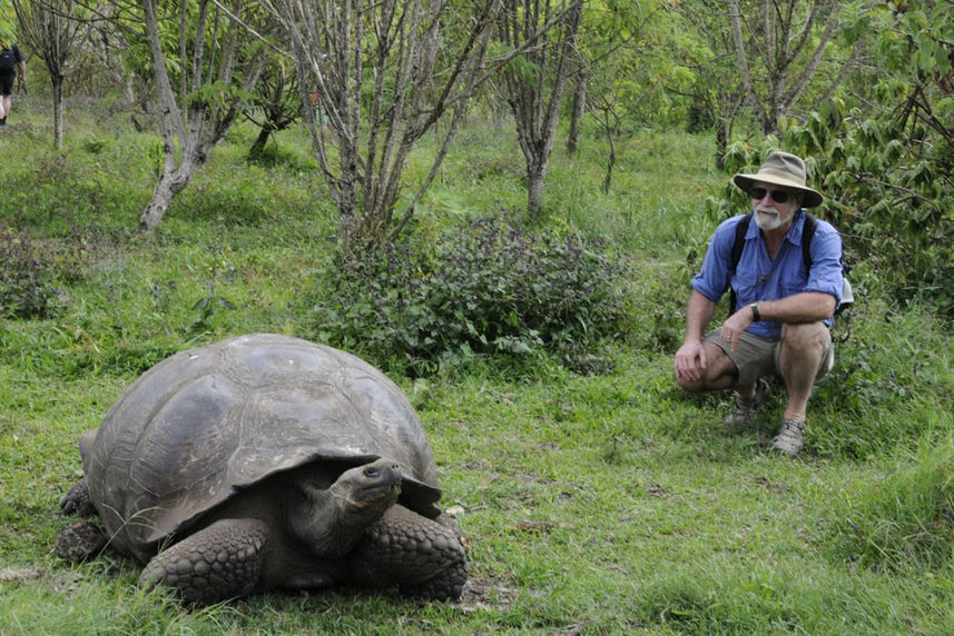 Tortuga gigante  - Anahi