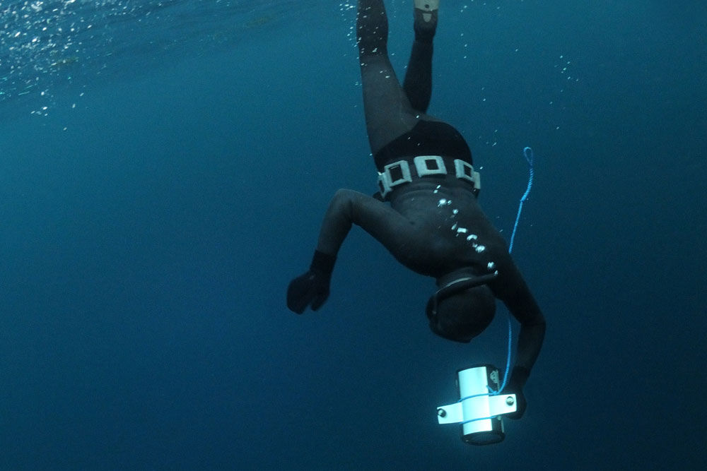 Freediving with Orcas