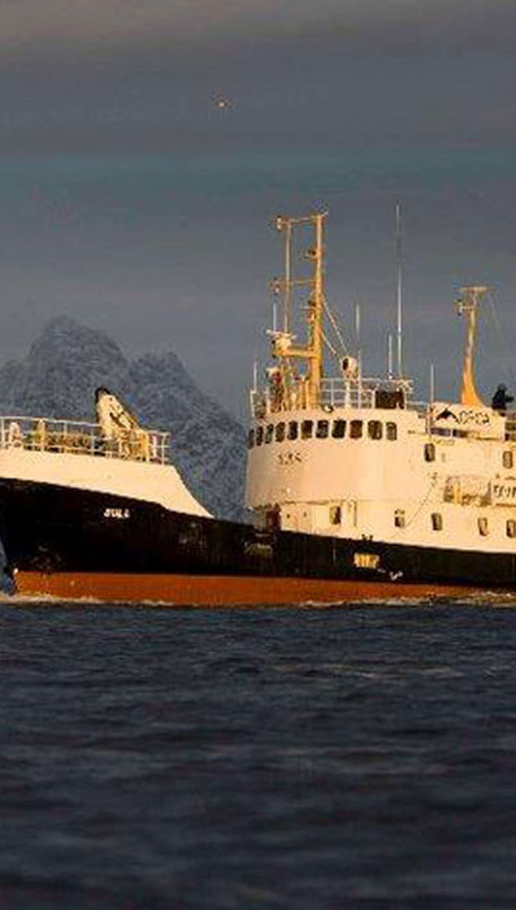 Sula