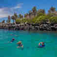 Snorkelling  - Astrea