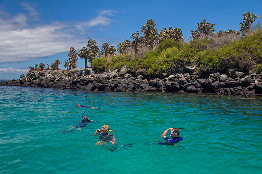 Snorkelling  - Astrea