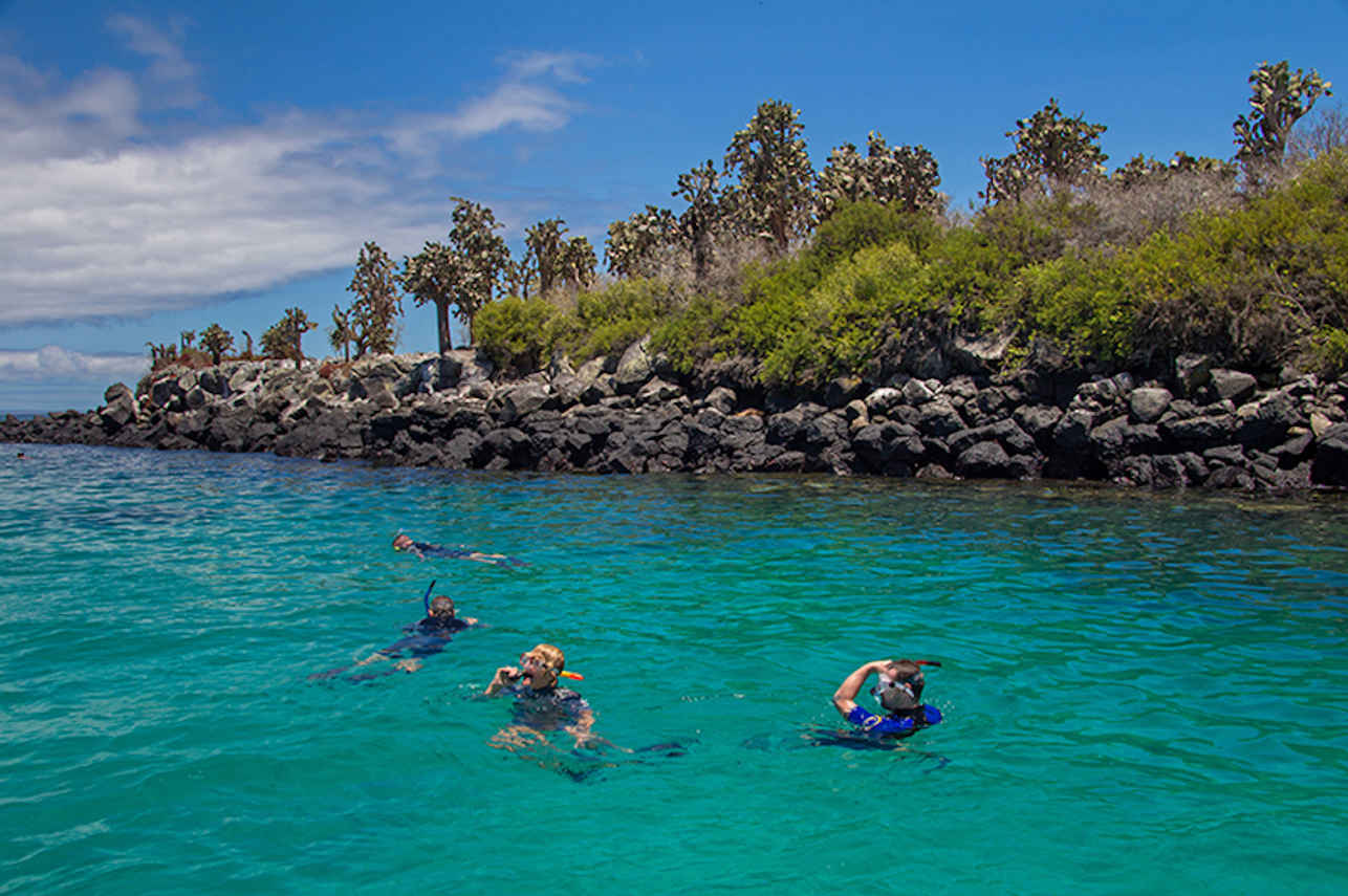 Snorkeling - Astrea
