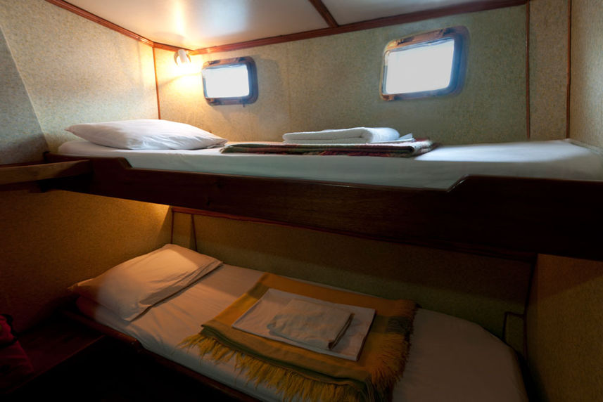 Standard Bunk Cabin - Golondrina