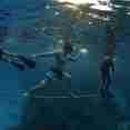 Diving