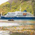 Hondius Arctic