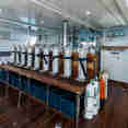 Dive deck - Lewini