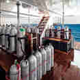 Dive deck - Lewini