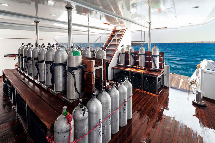 Dive deck - Lewini