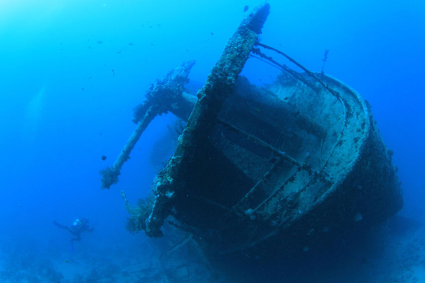 Diving Wreck - Lewini