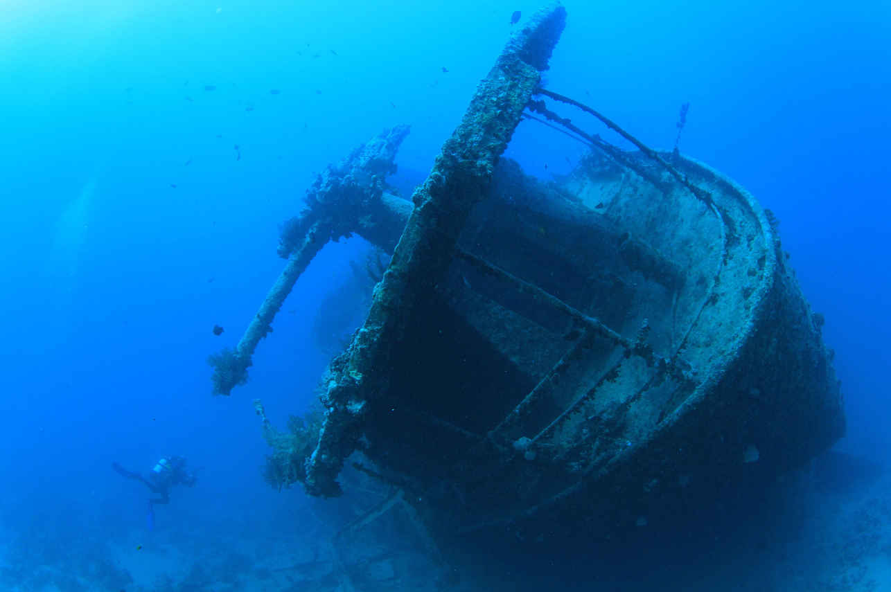 Diving Wreck - Lewini