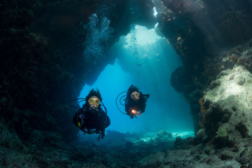 Cave Dives